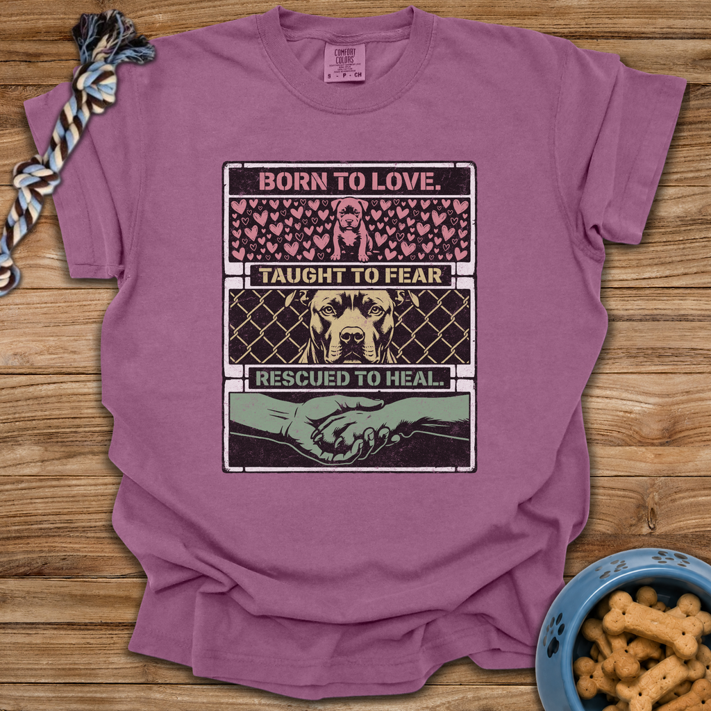 Rescued To Heal T-Shirt