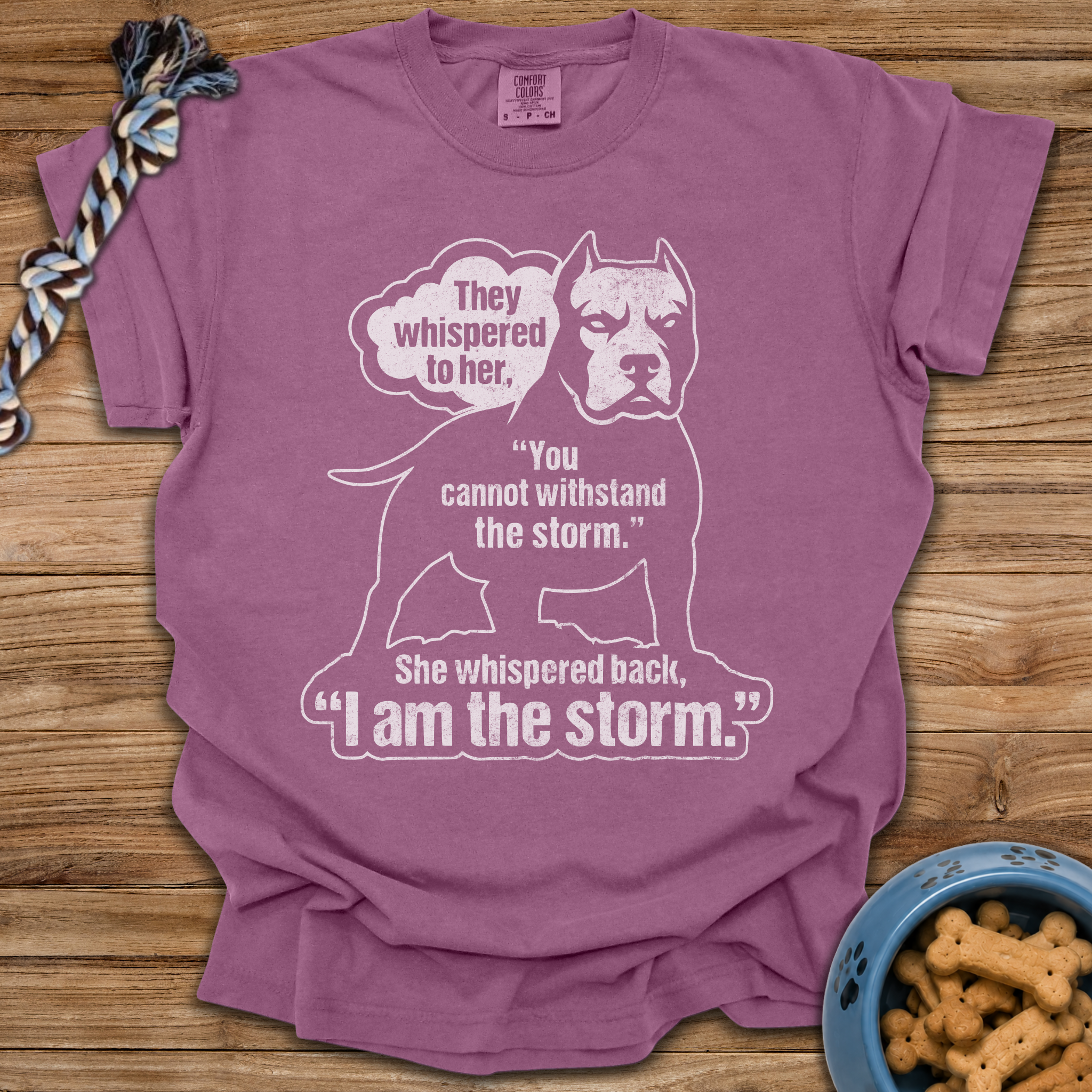 I Am The Storm T-Shirt