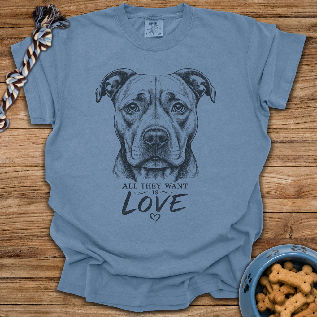 All They Want Is Love T-Shirt