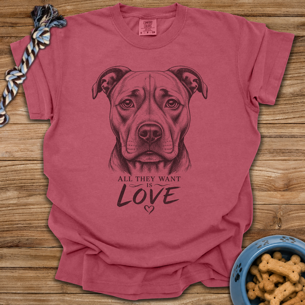 All They Want Is Love T-Shirt
