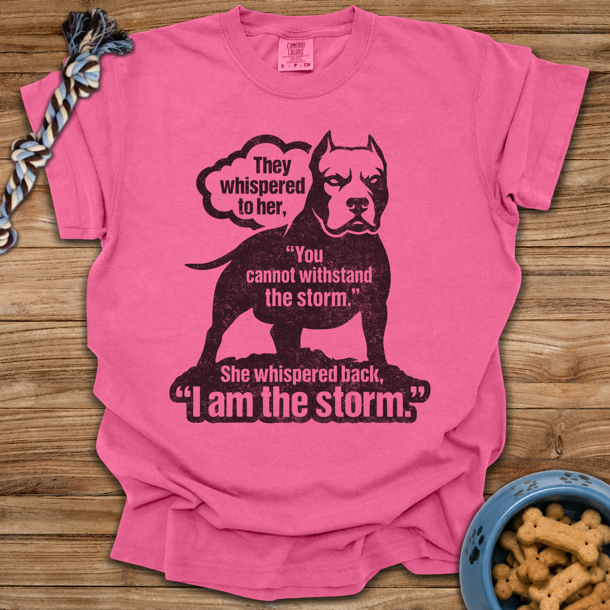 I Am The Storm T-Shirt
