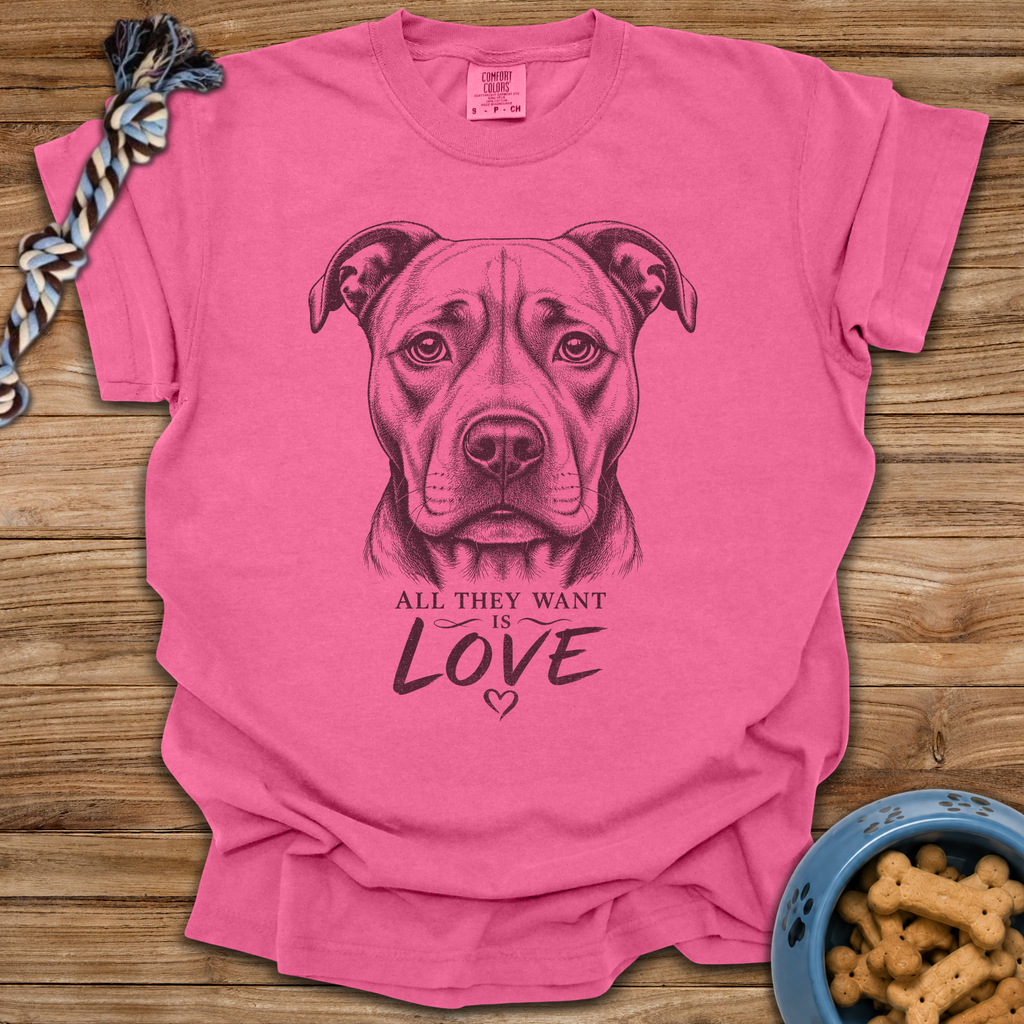 All They Want Is Love T-Shirt