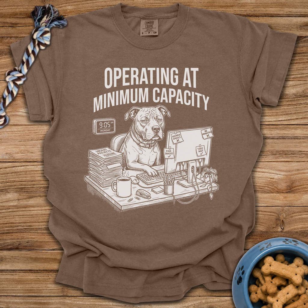 Operating At Minimum Capacity T-Shirt