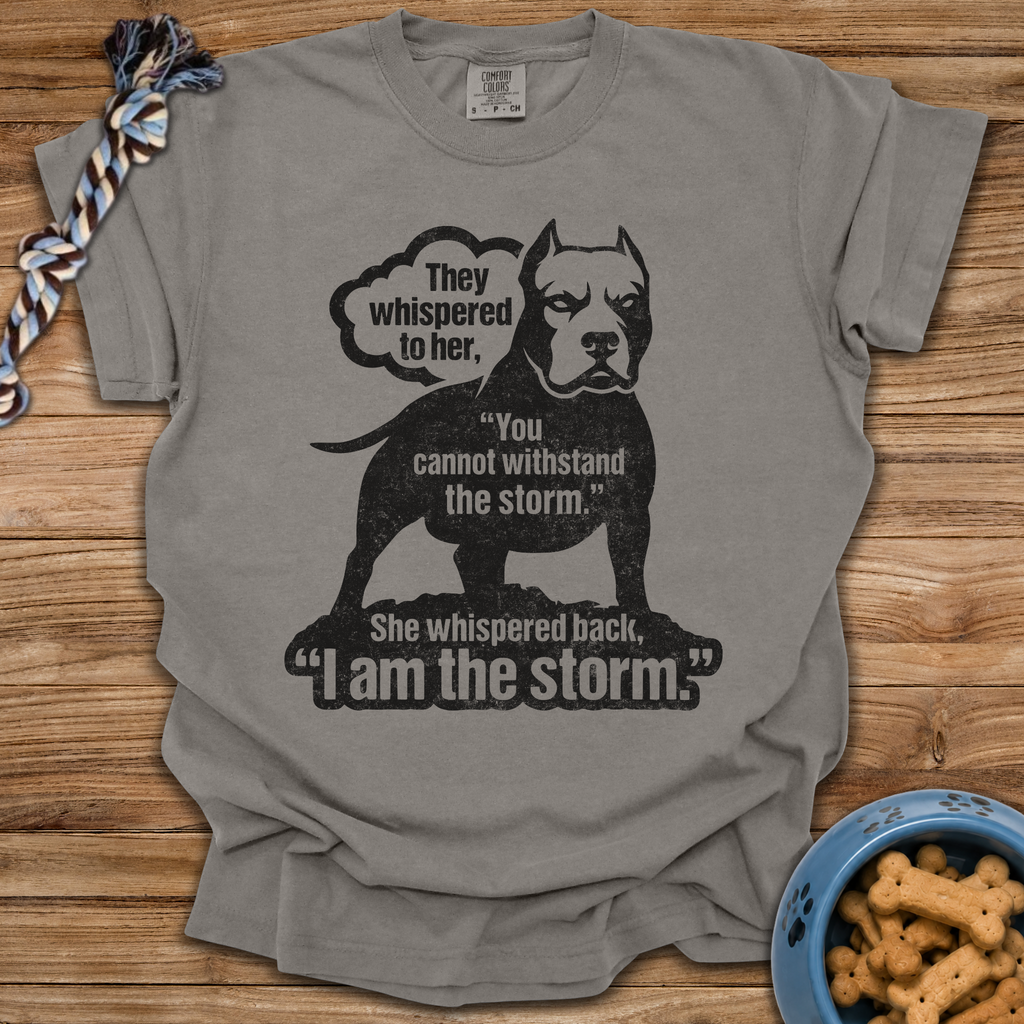 I Am The Storm T-Shirt