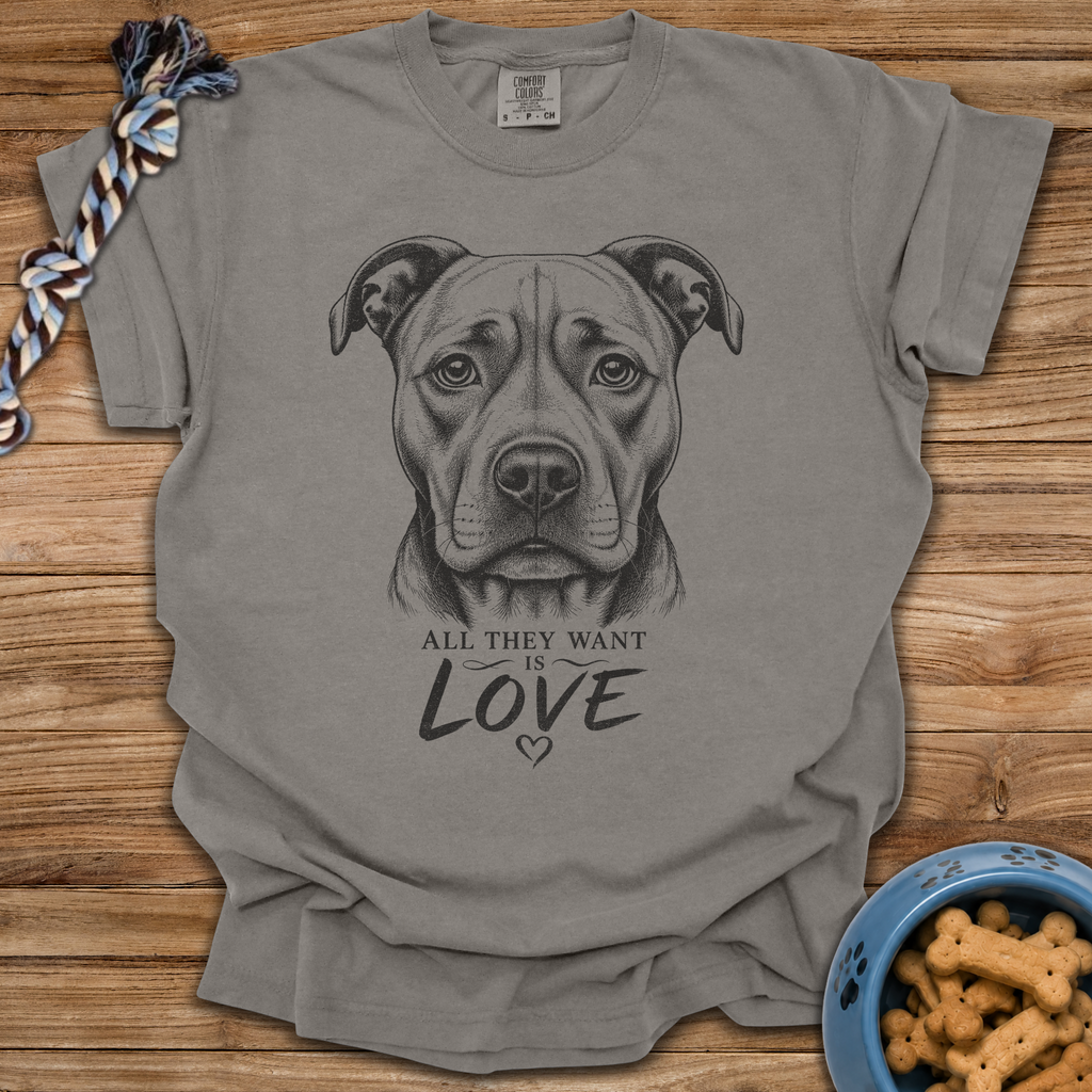 All They Want Is Love T-Shirt