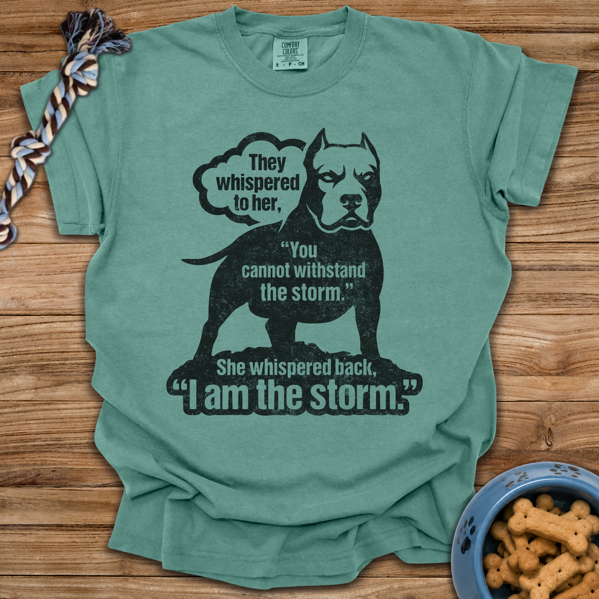 I Am The Storm T-Shirt